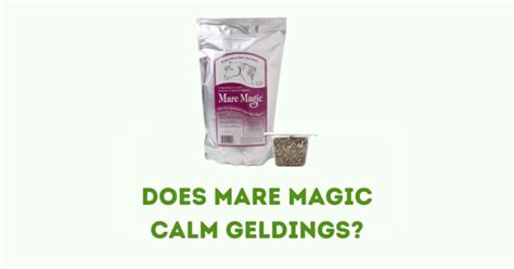 Mare Magic vs. Traditional Remedies: Which Is Better?